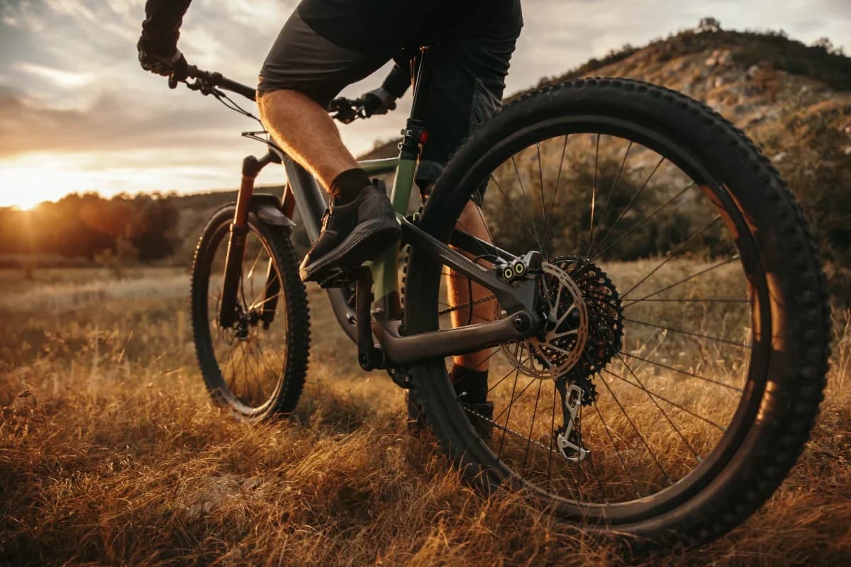 Nevada Trail Lady, VTT